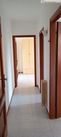 Appartamento 4 locali - Rif. V889 - Foto 5