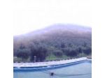Agriturismo La Barca Nel Bosco
