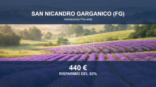 Immobile in asta di 1000 m² in vendita a San Nicandro Garganico