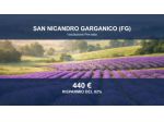 Immobile in asta di 1000 m² in vendita a San Nicandro Garganico