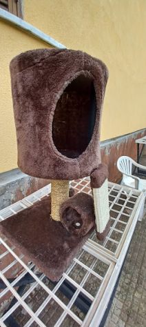 TITAGRAFFI per gatto