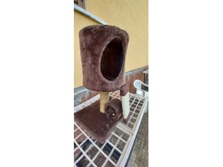 TITAGRAFFI per gatto