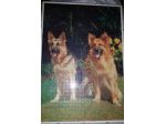 Puzzle raffigurante due cani 50x70 1000 pz., con cornice