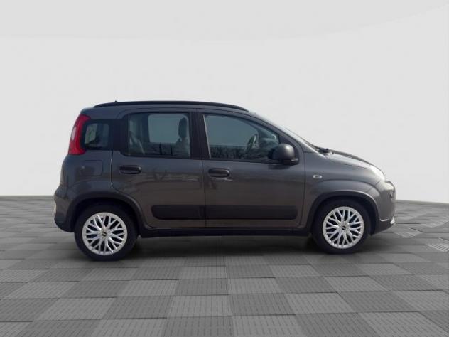 FIAT Panda Panda 1.0 FireFly Hybrid City Life rif. 23726183 - Foto 7