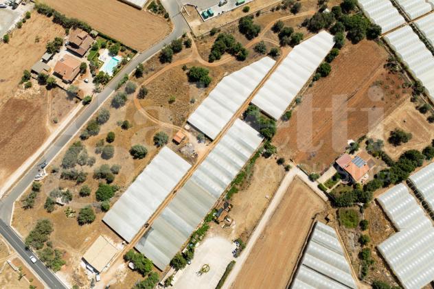 Terreno Agricolo - Santa Croce Camerina . Rif.: Cod. rif 3314731VCG - Foto 9