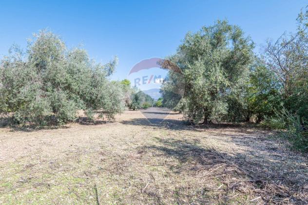 Villa singola in vendita a Comiso - Foto 13
