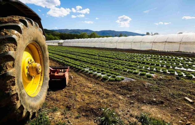 Terreno agricolo in vendita a Cascina 20000 mq Rif: 1350502