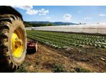 Terreno agricolo in vendita a Cascina 20000 mq  Rif: 1350502