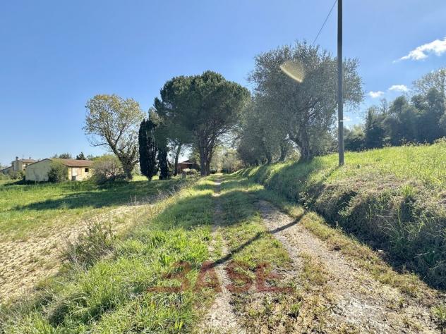 Casale in vendita a Collesalvetti - Foto 3