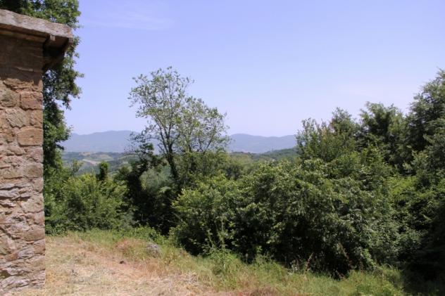 Bagnoregio - Vendesi casale al grezzo con annesso corte - Foto 10