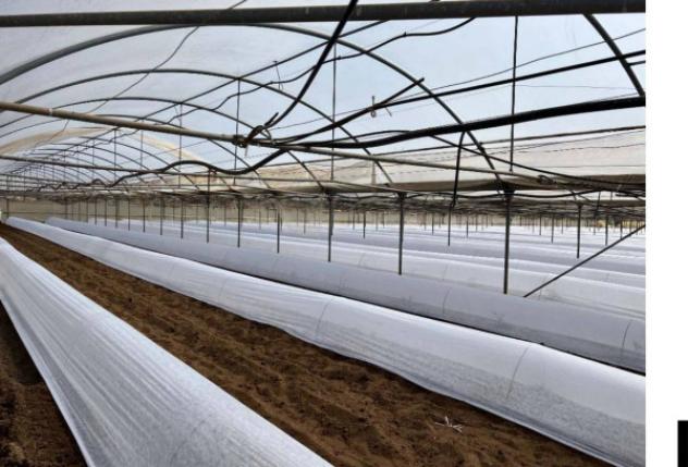 Immobile in asta di 33926 m² in vendita a Anzio - Foto 6