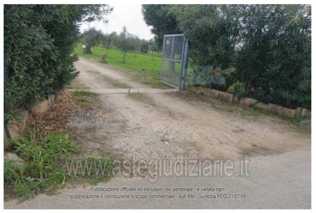 IMMOBILI-ALTRA CATEGORIA-Contrada Marinella Cavallaro - Foto 4