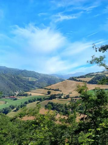 DOVADOLA - CASA INDIPENDENTE CON TERRENO AGRICOLO - Foto 13