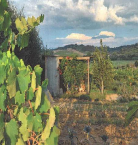 Immobile in asta di 1860 m² in vendita a San Miniato - Foto 10