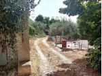 Terreno in vendita a Sortino