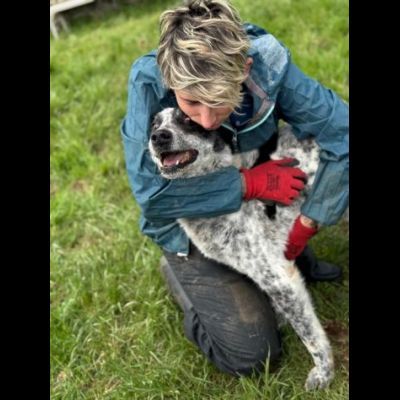 ESCAPE cacciatore di abbracci, CANE IN ADOZIONE