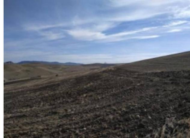Immobile in asta di 4600 m² in vendita a Petralia Soprana - Foto 3