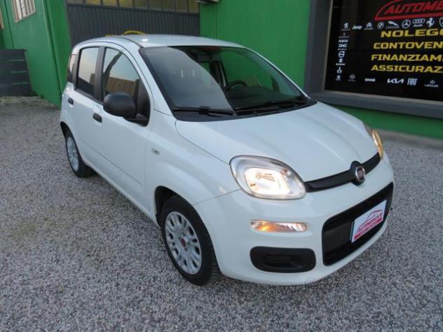 FIAT Panda 1.2 Easy S&S 1200 C.C. rif. 23513160 - Foto 4