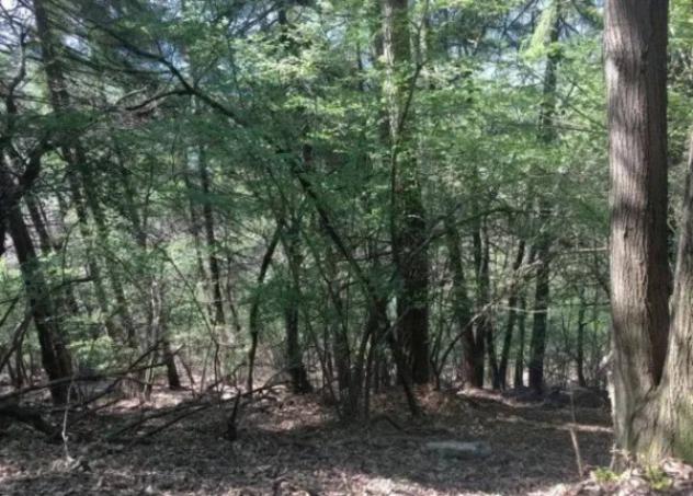 Immobile in asta di 13600 m² in vendita a Tavernerio - Foto 3