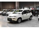 FIAT Panda 1.0 FireFly S&S Hybrid rif. 23257461