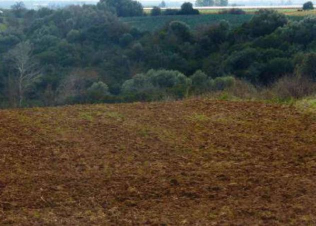 Immobile in asta di 102100 m² in vendita a Bernalda - Foto 5