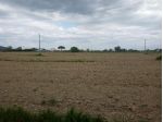 Terreno agricolo in vendita a San Lorenzo a Pagnatico - Cascina 7370 mq  Ri &hellip;