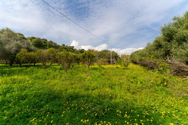 Agricolo in vendita a Catania - Foto 3