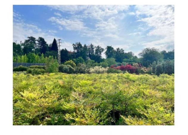 Immobile in asta di 16526 m² in vendita a Robecchetto con Induno - Foto 6