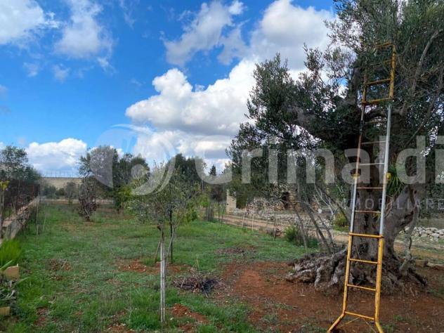 Terreno edificabile in vendita a Sannicola - Foto 13