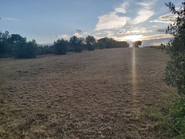 Terreno agricolo Velletri (RM) - Foto 5