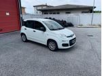 FIAT Panda 1.2 EasyPower Easy OK NEOPATENTATI  rif. 23830231