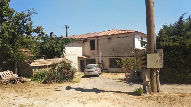 negozio in vendita a Campagnatico