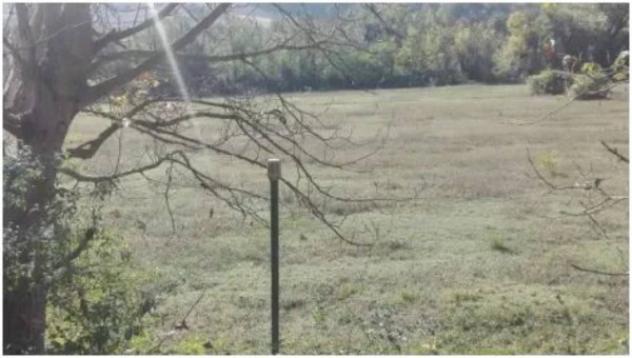Immobile in asta di 25966 m² in vendita a Acqualagna - Foto 5