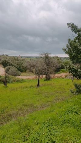 Floridia terreno agricolo di 15000 mq - Foto 7