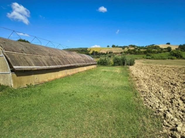 Immobile in asta di 7605 m² in vendita a Montegiorgio - Foto 3
