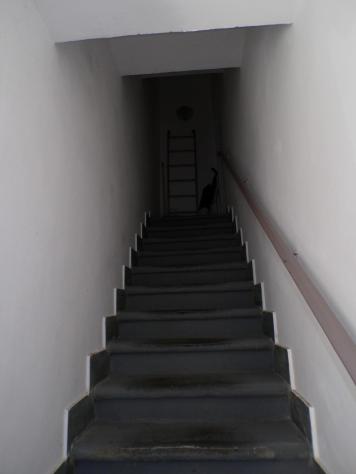Terratetto in vendita a Pisa 80 mq Rif: 1455288 - Foto 4