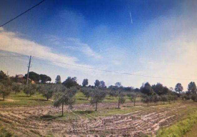 Terreno agricolo in vendita a Cascina 10000 mq  Rif: 908276