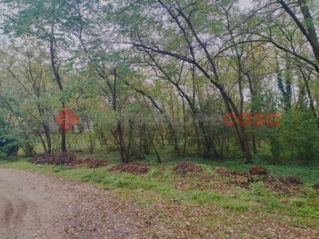 Terreno di 1200 m² in vendita a Cressa - Foto 4