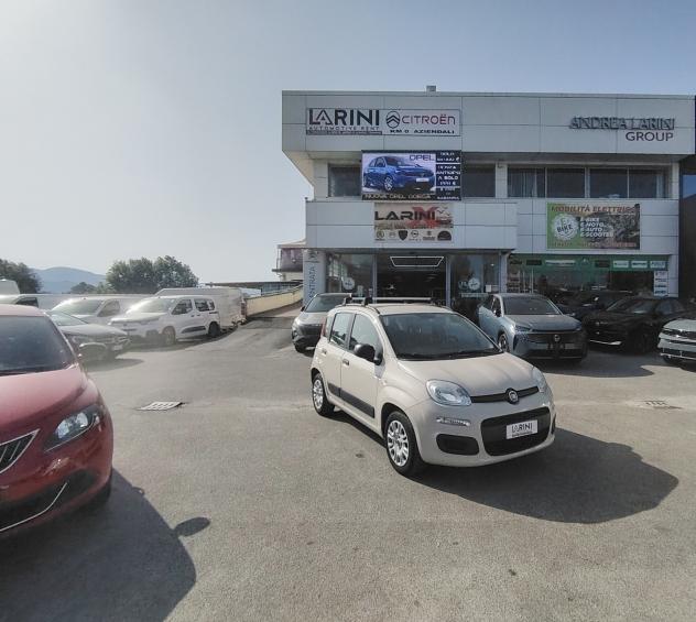 Fiat Panda 1.2 Pandazzurri - NEOPATENTATI