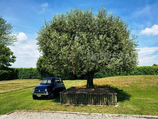 Fiat 500 L Lusso Conservata Originale 1972 - Foto 3