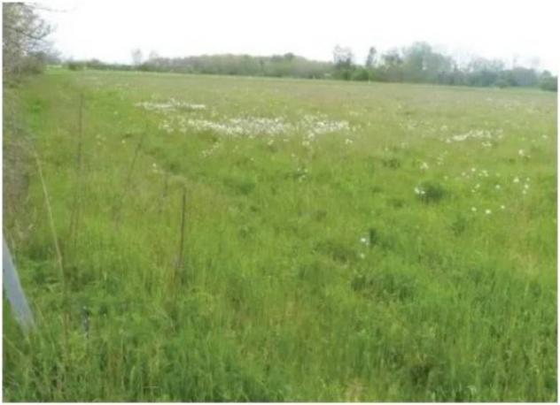 Immobile in asta di 29838 m² in vendita a Paese - Foto 11