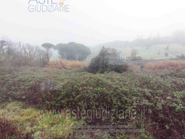 IMMOBILI-ALTRA CATEGORIA-Via Provinciale di Montalbano, 51034 Serravalle Pistoiese PT, Italia - Foto 6