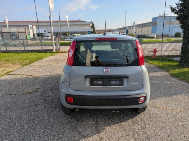 FIAT Panda 1.0 FireFly S&S Hybrid rif. 23837054 - Foto 4