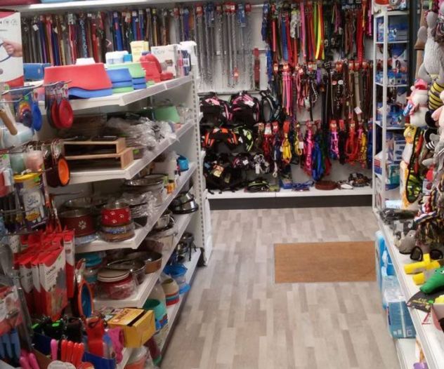 ACCESSORI X CANI E GATII - E TOLETTATURA A MILANO CENTRO - Foto 4