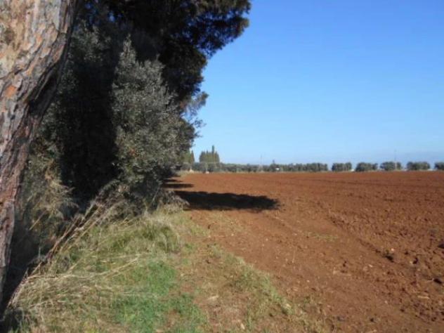 Immobile in asta di 107380 m² in vendita a Latina - Foto 3