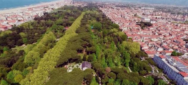 APPARTAMENTO di 6 vani e di 145 mq (VIAREGGIO - zona Don Bosco) rif. A1007