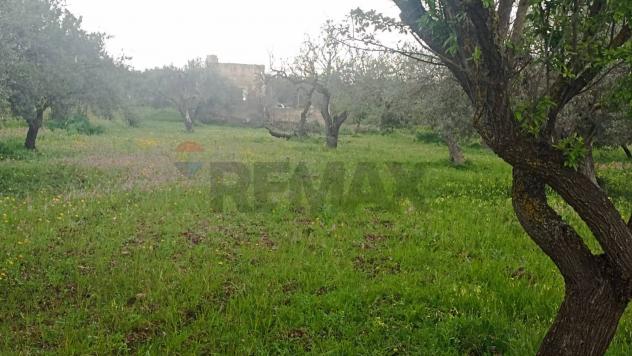 Terreno in vendita a Chiaramonte Gulfi - Foto 5