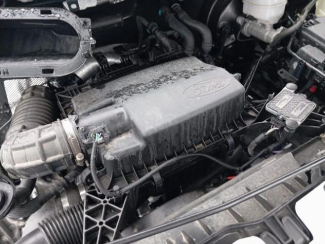 FORD Transit 350 2.0 150CV DIESEL 9 POSTI ECOBLUE PM-TM COMBI rif. 23664246 - Foto 7