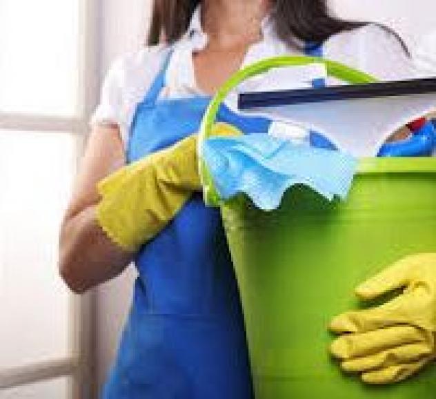 Multiservice Impresa di Pulizie - Giardinaggio - Traslochi - Imbianchini - Foto 4
