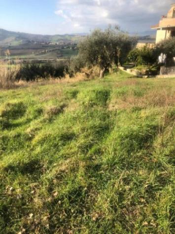 Immobile in asta di 15242 m² in vendita a Gradara - Foto 4